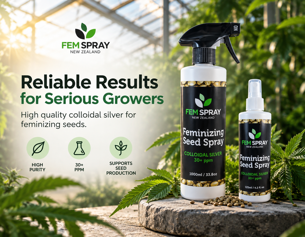 Two bottles of FEM SPRAY Feminizing Seed Spray displayed on a stone surface inside a greenhouse, with product text and feature icons on the left.